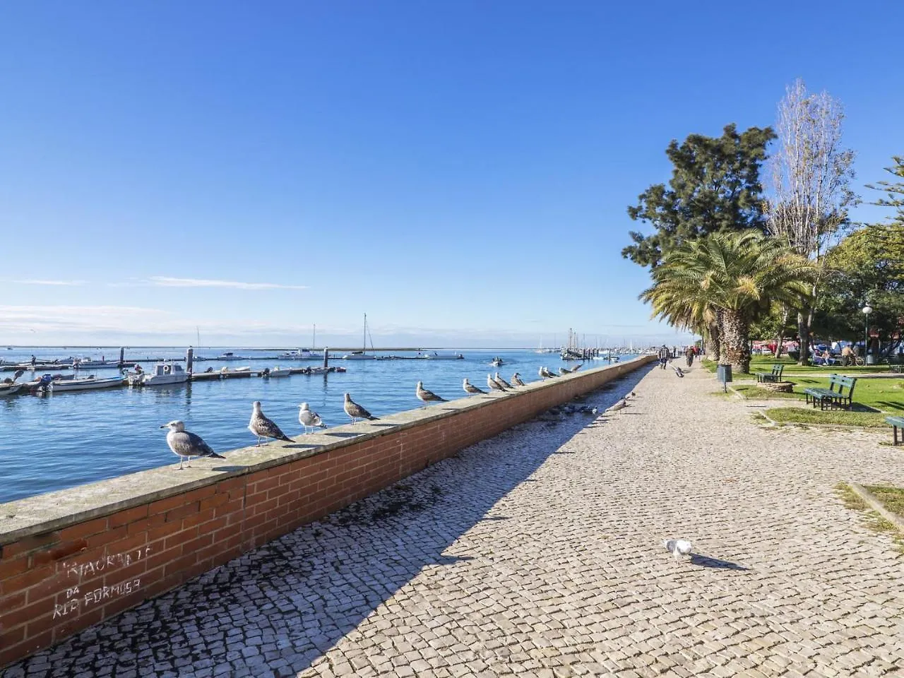 Apartment Apartment T2 Olhao By Interhome Portugal