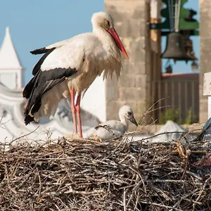 Stork Ostello